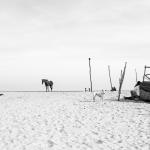 01, Sans titre